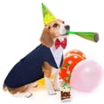 thumbnail image 4 of Conjunto de esmoquin para perro PUMYPOREITY, talla L, grande, formal, azul, 4 of 7