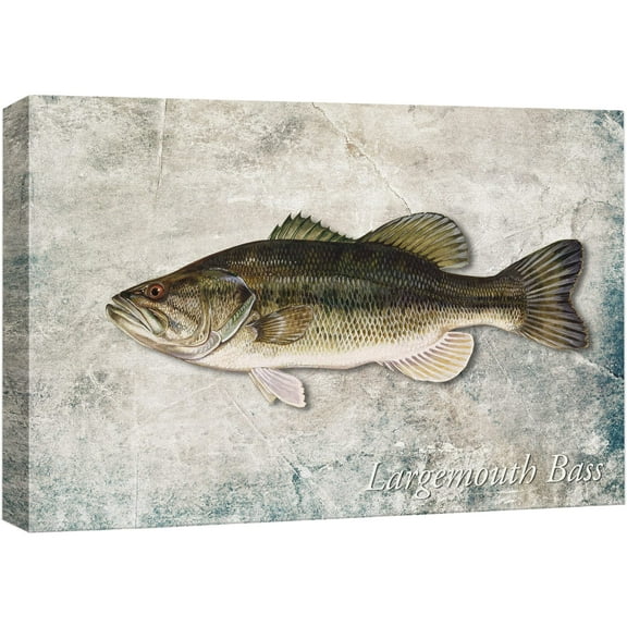 wall26 Framed Canvas Print Wall Art Largemouth Bass Fish on Granite Background Marine Life Animals Digital Art Realism Nautical Scenic Colorful Ultra for Living Room, Bedroom, Office - 24"x36&qu