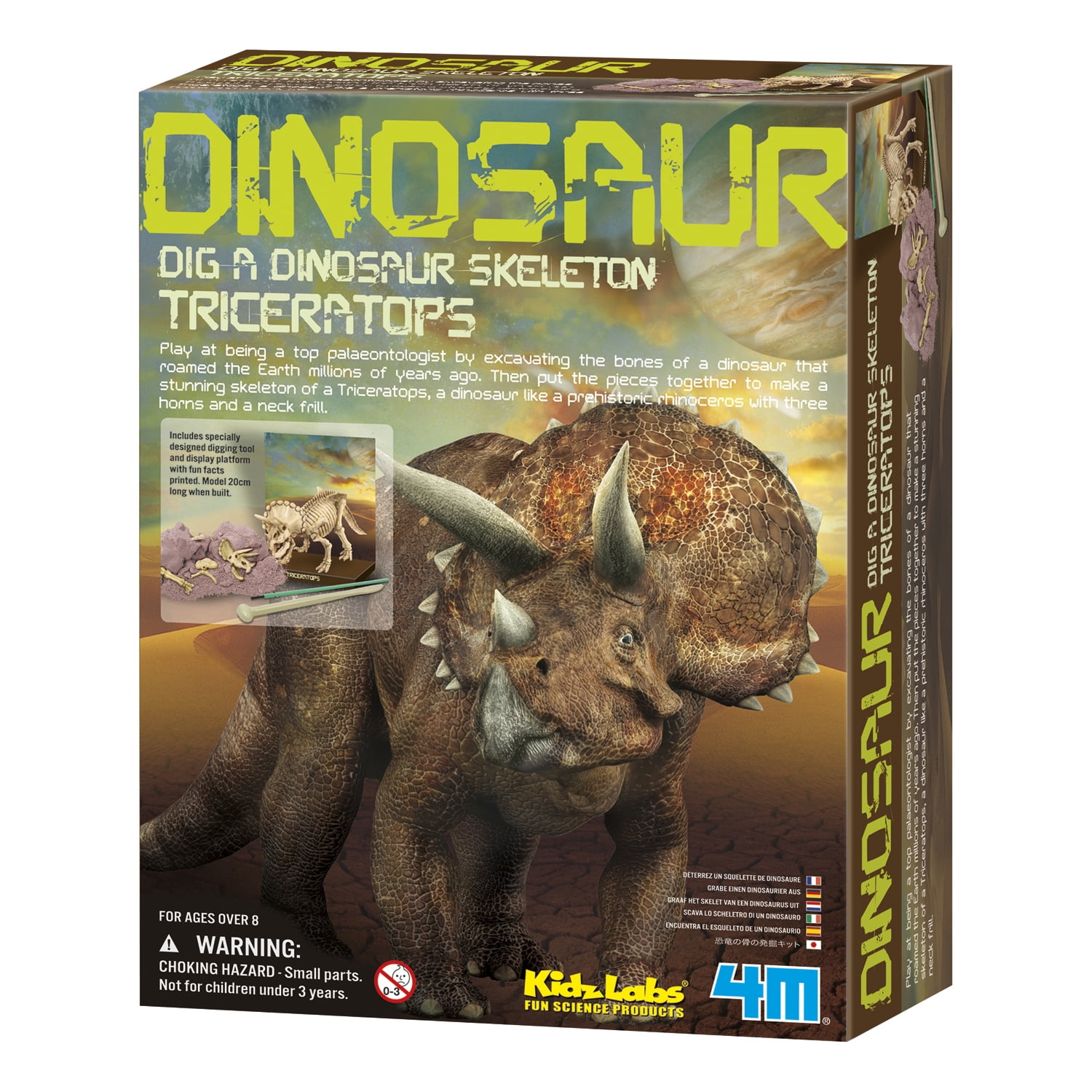 diy dino dig kit
