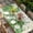 beige, variant on St. Patrick's Table Cloths for 4 Foot Rectangle Tables, Luck Shamrock Eucalyptus Leaves Flowers Beige Patio Waterproof Elastic Fitted Tablecloths, Washable Rectangular Table Cover for Camping