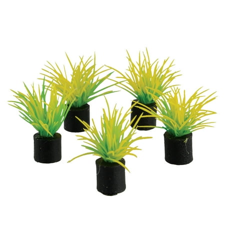 Underwater Treasures Mini Plant - Spring Grass - 1.25