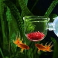 thumbnail image 4 of Acuario vidrio alimentación cono taza planta taza salmuera camarón vivo gusano rojo alimentador de peces para acuarios con succión Xemadio 220849-1, 4 of 9