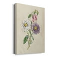 thumbnail image 2 of Antique Garden Bouquet III Premium Gallery Wrapped Canvas - Ready to Hang, 2 of 9