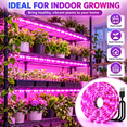 thumbnail image 3 of PEUHOP 3 Pack Grow Lights for Indoor Plants, 16.4 ft LED Grow Light Strips, Waterproof Cuttable Purple Plant Lights for Indoor Growing, Succulents and Flowers, 3 of 8