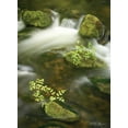 thumbnail image 2 of Vitaly Geyman 28x37 Gallery Wrapped Canvas Wall Art Titled - Soothing Waters III, 2 of 4