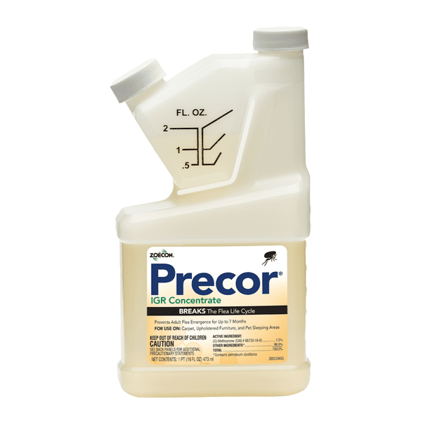 Igr Flea Spray Walmart | Precor Plus Fogger (aka Flea Bomb) – ELACI