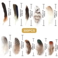 thumbnail image 2 of 300PCS Assorted Feathers 10 Styles Crafts Feathers for DIY Dream Catcher Wings Earring Hat Mask Wedding Party Carnival Halloween Costume Decorations, 2 of 7