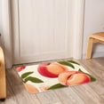 thumbnail image 6 of Peach Polyester Non-Slip Machine Washable Outdoor Carpet Door Mat - Door Rug - Door Rugs, 6 of 6