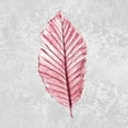 thumbnail image 2 of Kimberly, Allen 26x26 Gold Ornate Wood Framed with Double Matting Museum Art Print Titled - Pink Leaf 1, 2 of 4