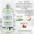thumbnail image 6 of Rae Dunn PAMPER Conditioning Pet Shampoo – Hydrating Cucumber & Aloe Formula, 1000ml (34oz), 6 of 9