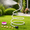 White, variant on Hose Misters for Outside Patio,73 Inch Standing Outdoor Hose Misting Cooling System,Height Adjustable and Portable Mist Sprinkler,3 Nozzles Mist Sprinkler for Chicken Coop,Backyard,Garden,Tanning,BBQ