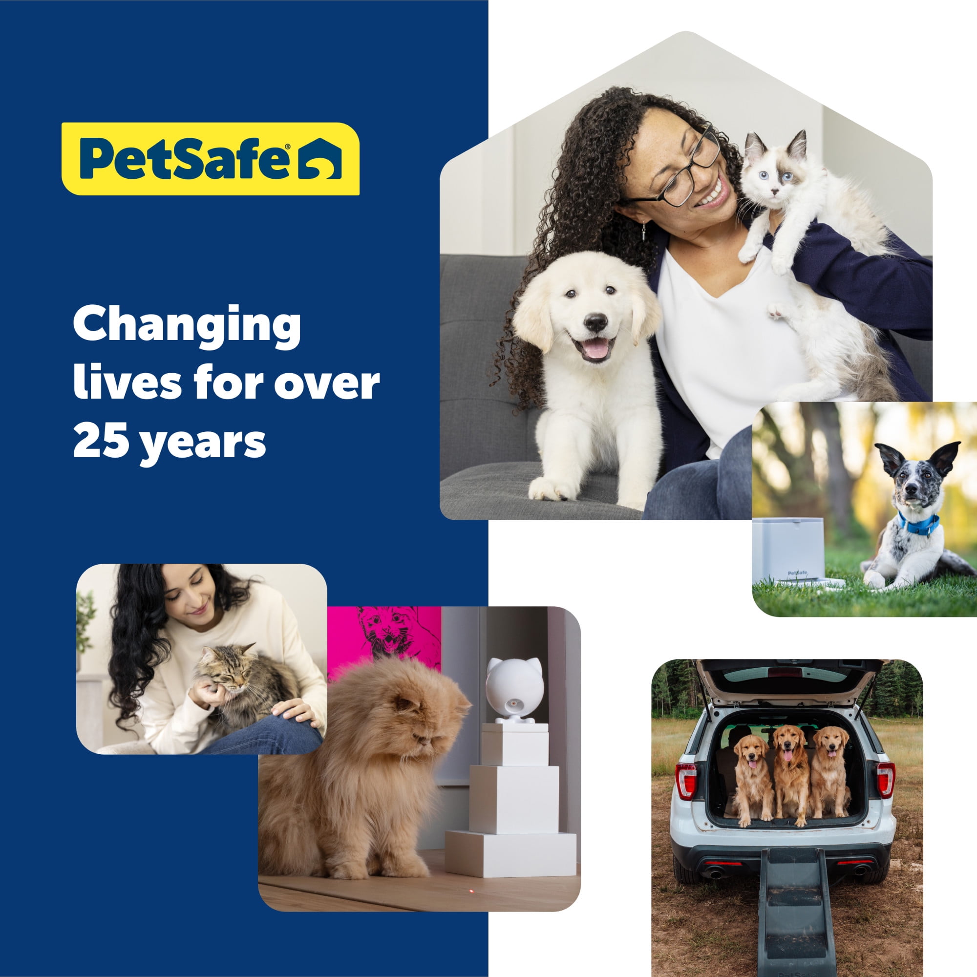  PetSafe Elite Little Dog In-Ground Pet Fence Receiver