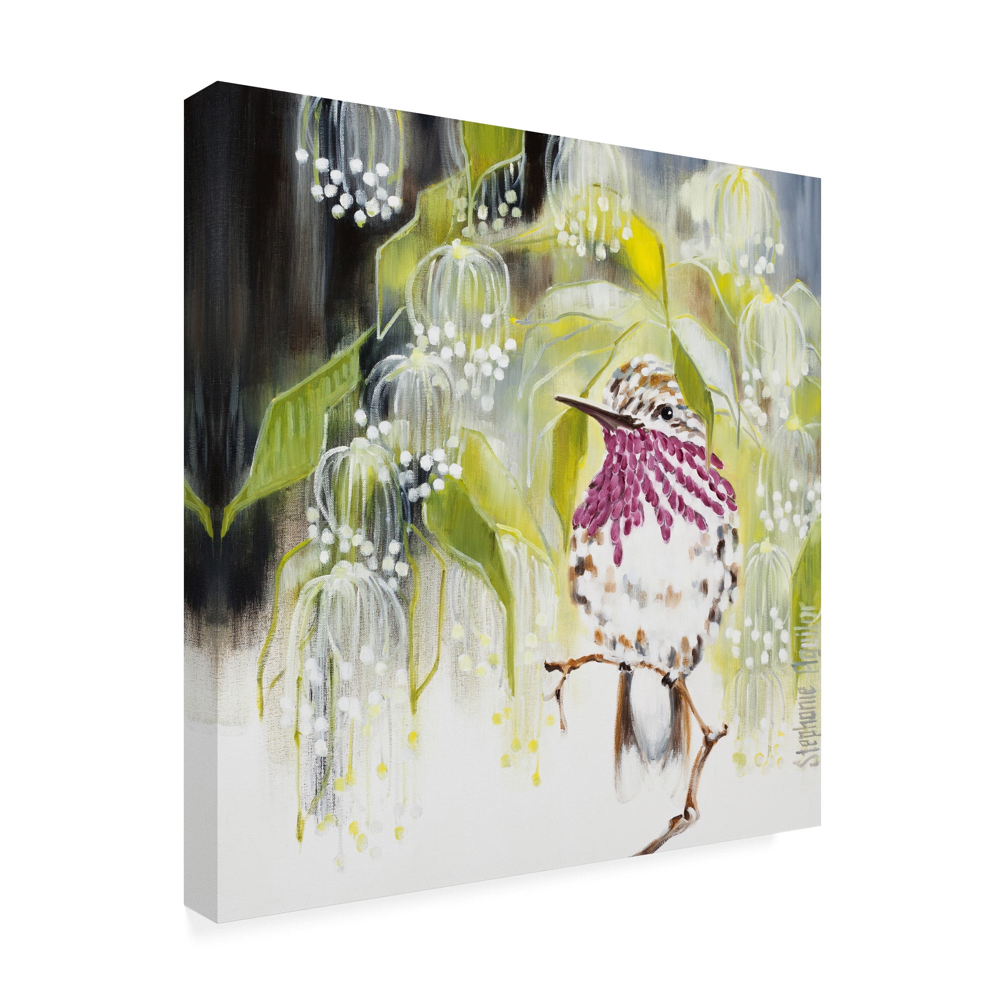 Trademark Fine Art 'Jeweled' Canvas Art by Stephanie Aguila