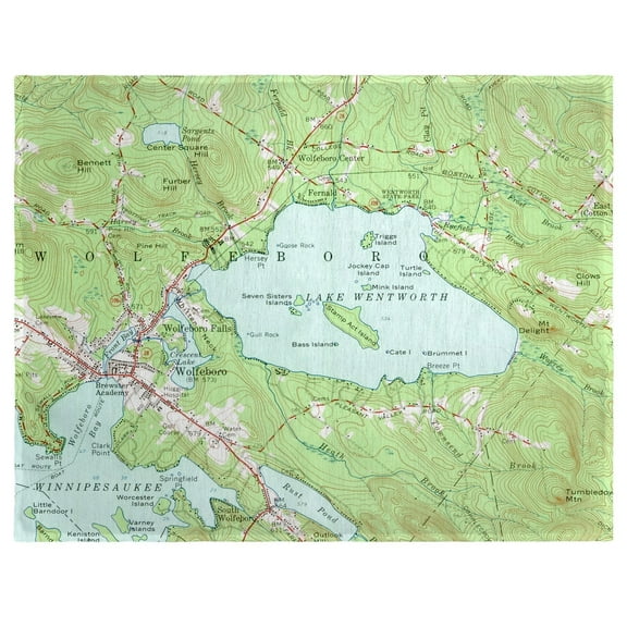Betsy Drake PM654 14 x 18 in. Lake Wentworth, NH Nautical Map Place Mat - Set of 4
