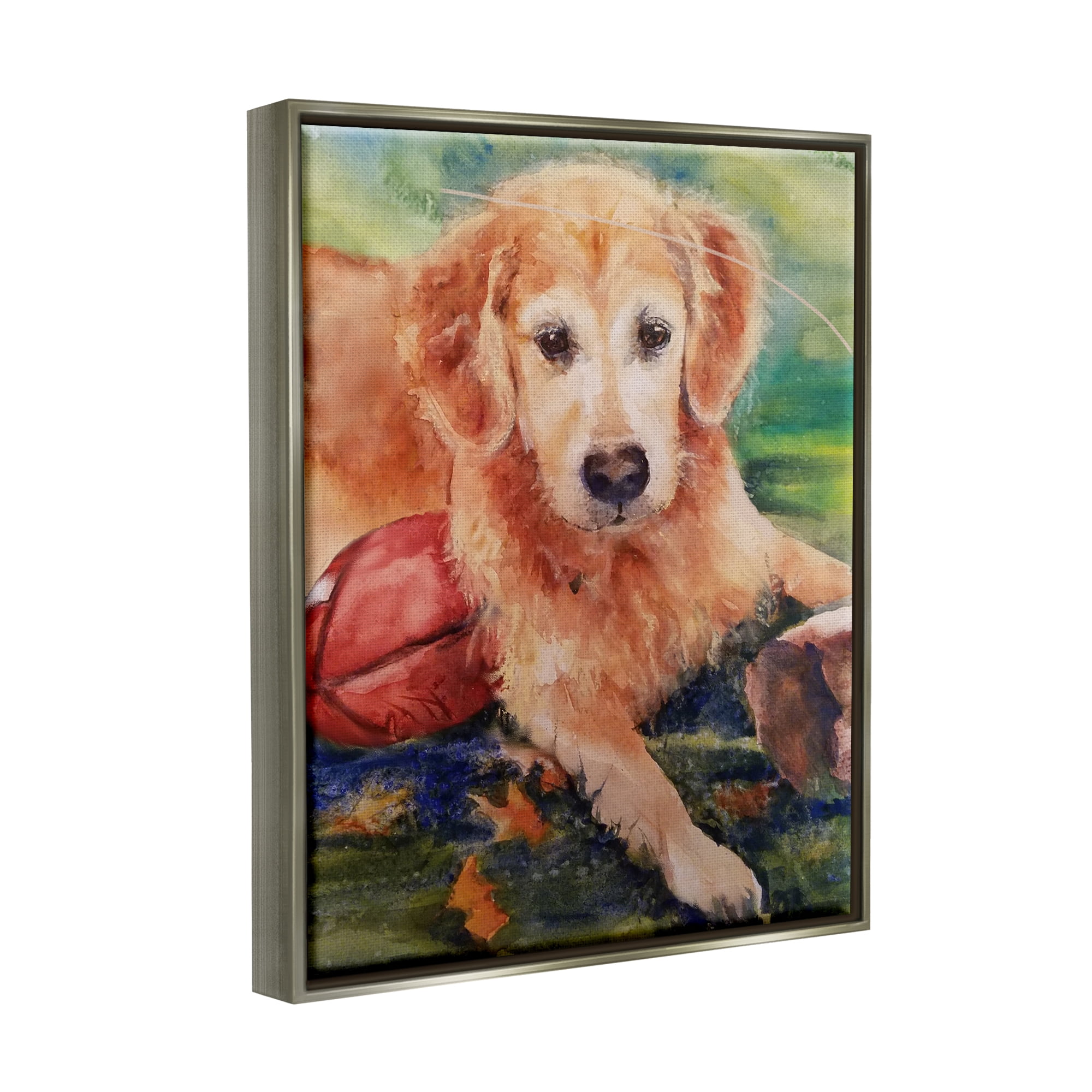 Stupell Industries Retriever Dog with Football Animals & Insects Painting Gray Floater Framed Art Print Wall Art, 25 x 31