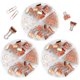 thumbnail image 1 of Teskyer - Juego de tachuelas para carpetas pequeñas y clips de papel, 216 piezas en total, juegos de clips de oficina con caja almacenada por separado para suministros de oficina, escuela, hogar, escritorio, varios tamaños, multicolor Zhivalor  WMZL-1795-3, 1 of 7