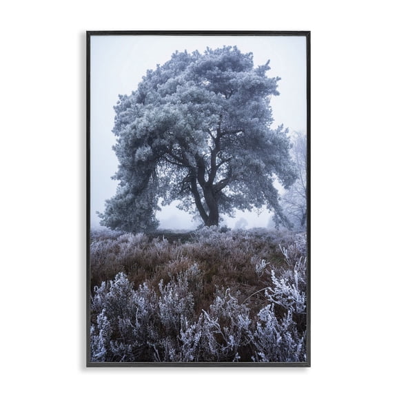 Stupell Industries Traditional Frosted Tree in Winter Mist Black Framed Giclee Art, 12 x 18, by Martin Podt