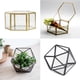 thumbnail image 1 of Modern Tabletop Glass Geometric Terrarium Container Window Pot Box, Macarena Jardinera de Terrario Geométrica, 1 of 8