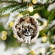 thumbnail image 1 of Adornos navideños acrílicos de 2 piezas | Juego de colgantes estereoscópicos de niña y perro 2026 | Adornos colgantes ligeros y duraderos | Decoración personalizada para árbol, corona y guirnalda, 1 of 5