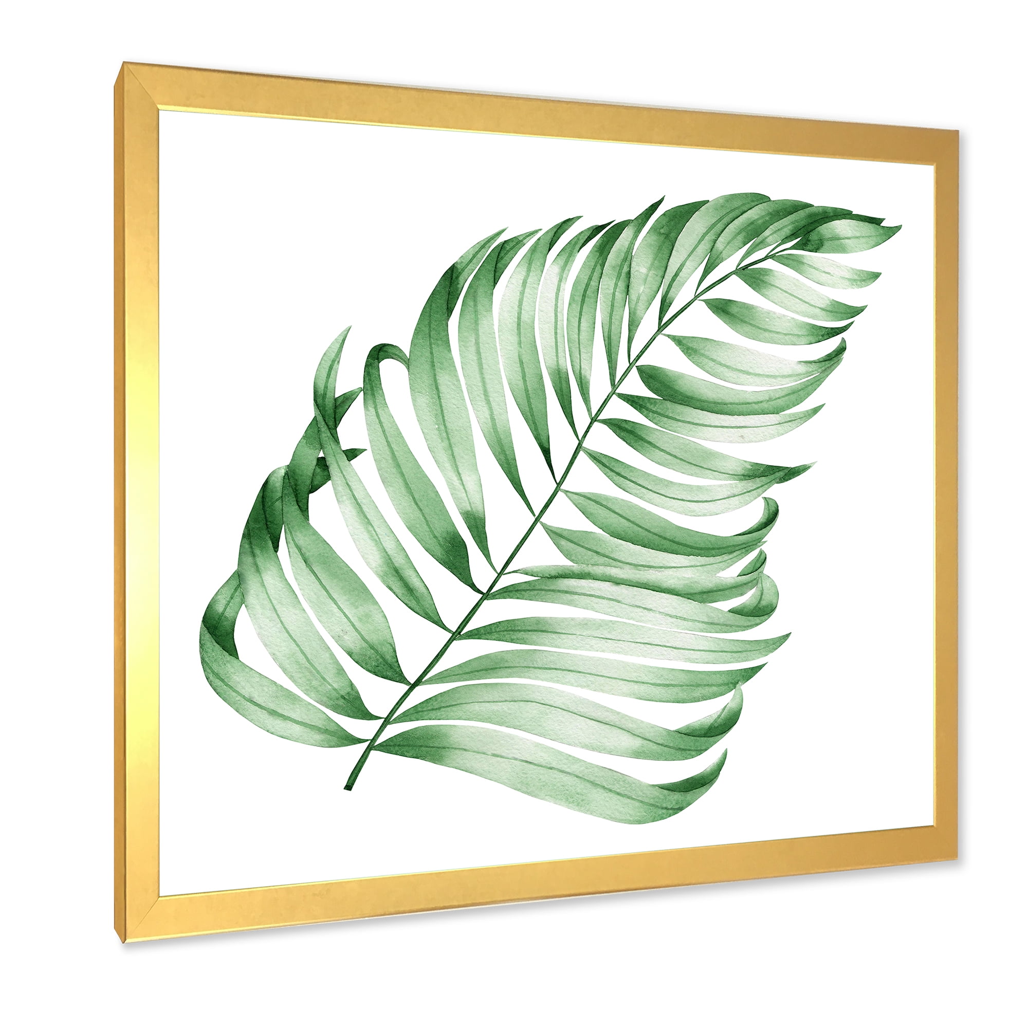 Designart 'Close Up Of Tropical Leaf Of Monstera II' Farmhouse Framed Art Print