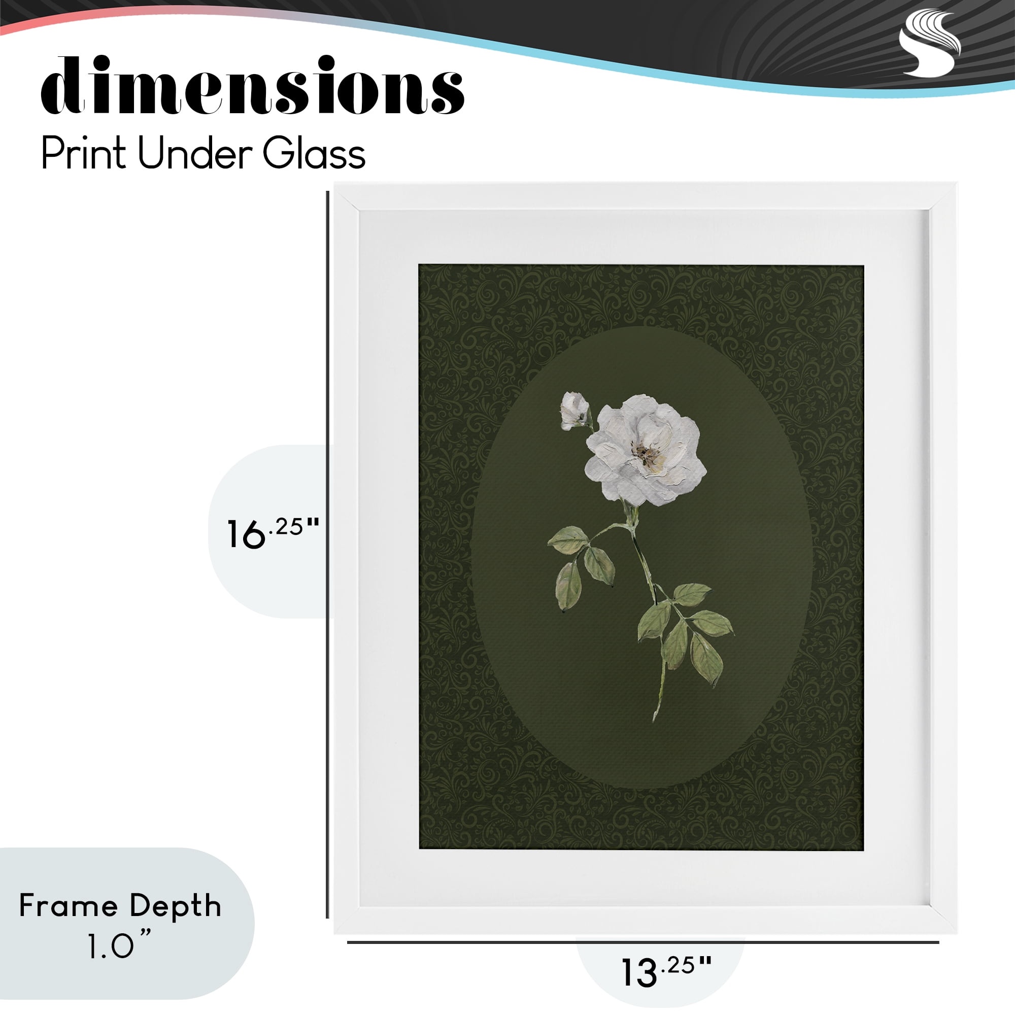 Stupell Industries White Rose on Emerald White Framed Print Under Glass, design by Sally Swatland