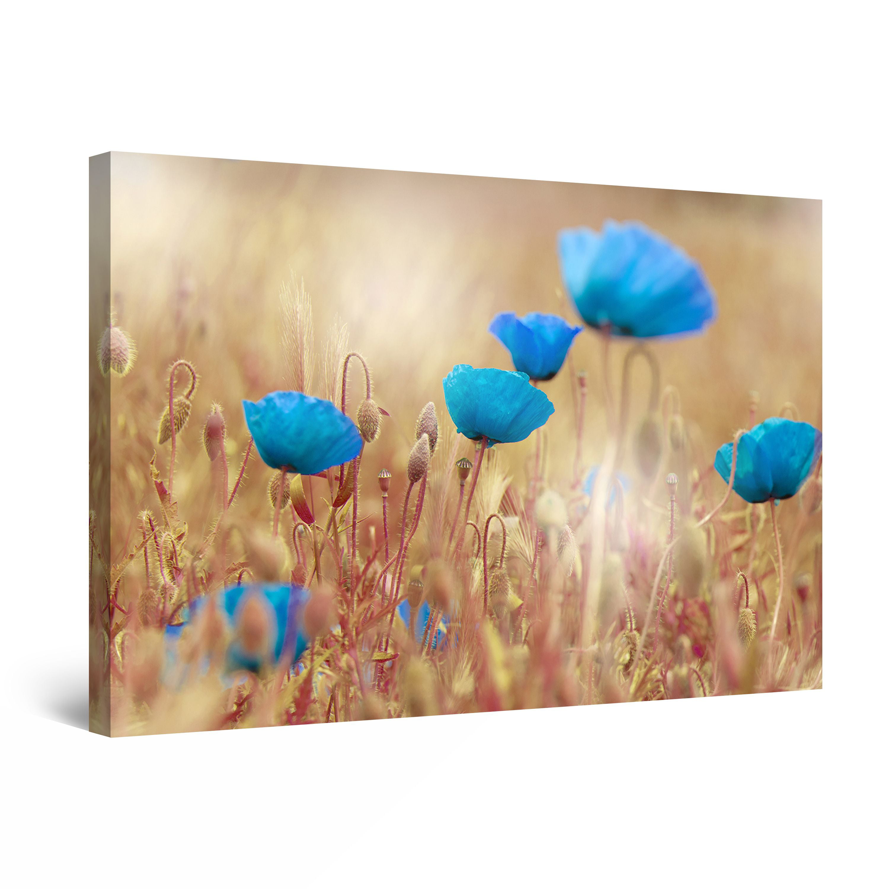 Details about   BLOOMING POPPY FIELD CANVAS WALL ART PICTURES FRAMED PRINTS HOME KITCHEN POSTERS 