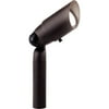 Malibu Tulip Light, Aged Brass