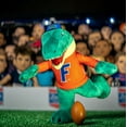 thumbnail image 4 of Bleacher Creatures Florida Gators Al E. Gator 10" Mascot Plush Figure, 4 of 5