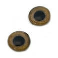 thumbnail image 6 of Light Brown Tropical Owl Bird Glass Eyes, 6 of 9