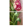 thumbnail image 3 of Romántico Giclee Impresiones En Cuadros Cuadros Románticos De Pared Para Sala De Dormitorio Decoración P Macarena Pintura de pared de lienzo floral, 3 of 6