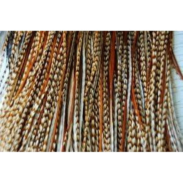 zingen Volwassenheid Blozend 5-7 Feather Hair Extensions Grizzly/ginger with Browns & Beige Feathers for Hair Extension (5 Feathers Bonded Together) - Walmart.com zingen Volwassenheid Blozend 5-7 Feather Hair Extensions Grizzly/ginger with Browns & Beige Feathers for Hair Extension (5 Feathers Bonded Together) - Walmart.com
