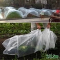 thumbnail image 3 of 2*25m Greenhouse Tunnel Foil Plastic Yard Horticultural Polythene Sheet Plant Cover Garden Supplies, 3 of 5