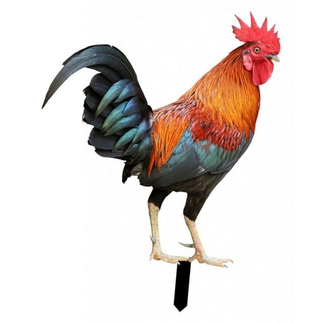 Adorno de estatua de animal de gallo de plástico, estacas de jardín, estaca de patio con forma de gallo de pie, decoración de gallina para patio, cami Color A
