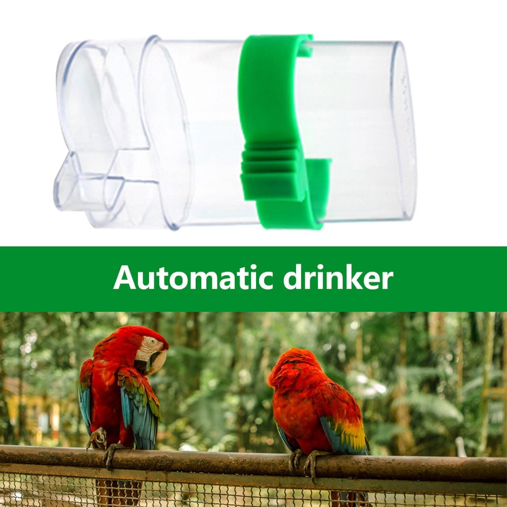 Bird Water Food Feeder Parrot Canary Automatic Feeding Drinking Dispenser Device 