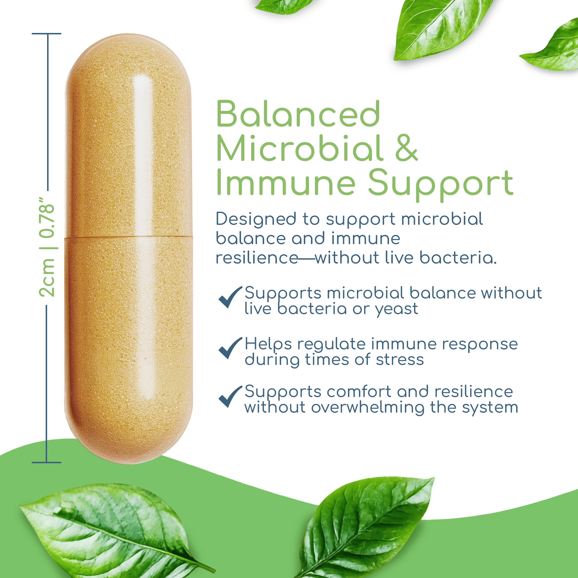 Return Healthy Herbal Biotic Immune Supplement for Women & Men, Natural System Booster with Cat's Claw for Probiotic Gut Balance, 120 Vegan Capsules
