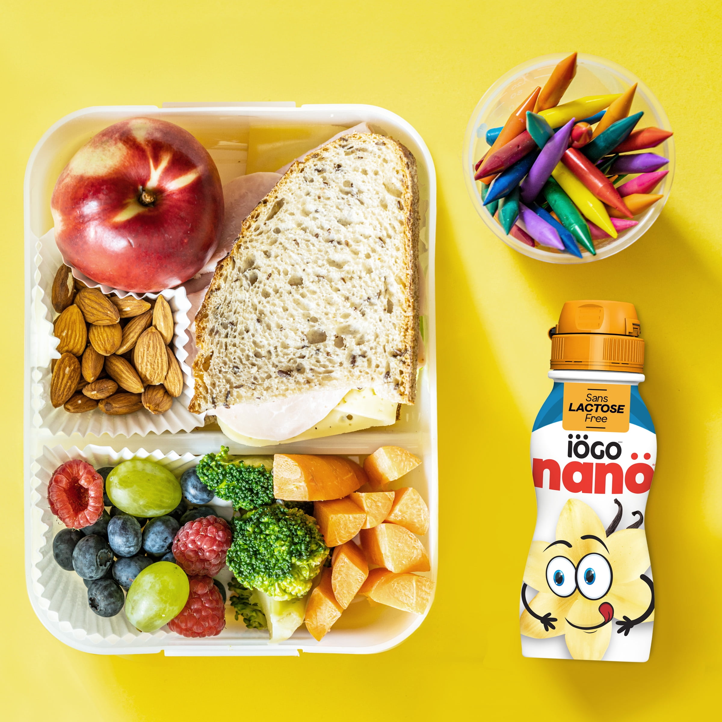 iOGO Nano Vanille Sans Lactose 6x93ml 6x93ml