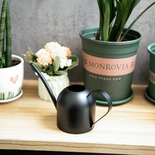 Small Watering Can for Indoor Plants Stainless Steel Watering Can with Long Spout 15oz/450ml, (Black)