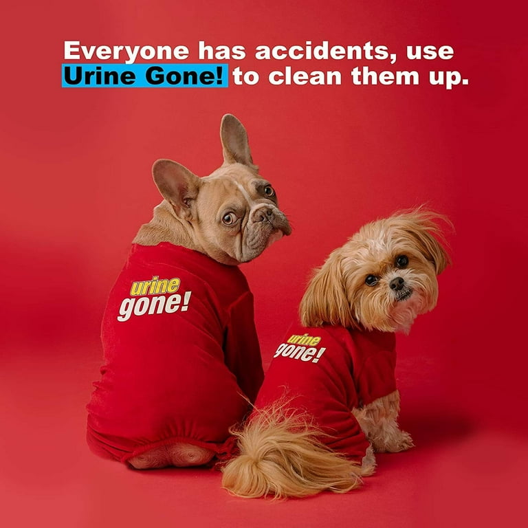 Urine gone on hardwood floors cheap