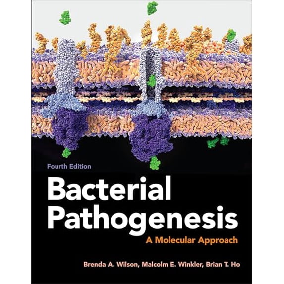 Pre-Owned Bacterial Pathogenesis: A Molecular Approach (Paperback) 1555819400 9781555819408
