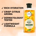thumbnail image 4 of Herbal Essences Body Envy Shampoo & Body Wash, Volumizing Shampoo, 4 of 12