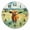 A016, variant on 10 Inch Wall Clock Battery Operated Square Clock for Office, Kitchen, Outdoor, Living Room, Brown Horse Running In The Sea