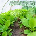 thumbnail image 5 of 24 x 10 Ft Plant Sun Protection Cloth, Garden Plant Shade Cloth, Non-Woven White Light Refraction Sunshade Cloth for Protecting Plants Vegetable Rows from Direct Sunlight, 5 of 7