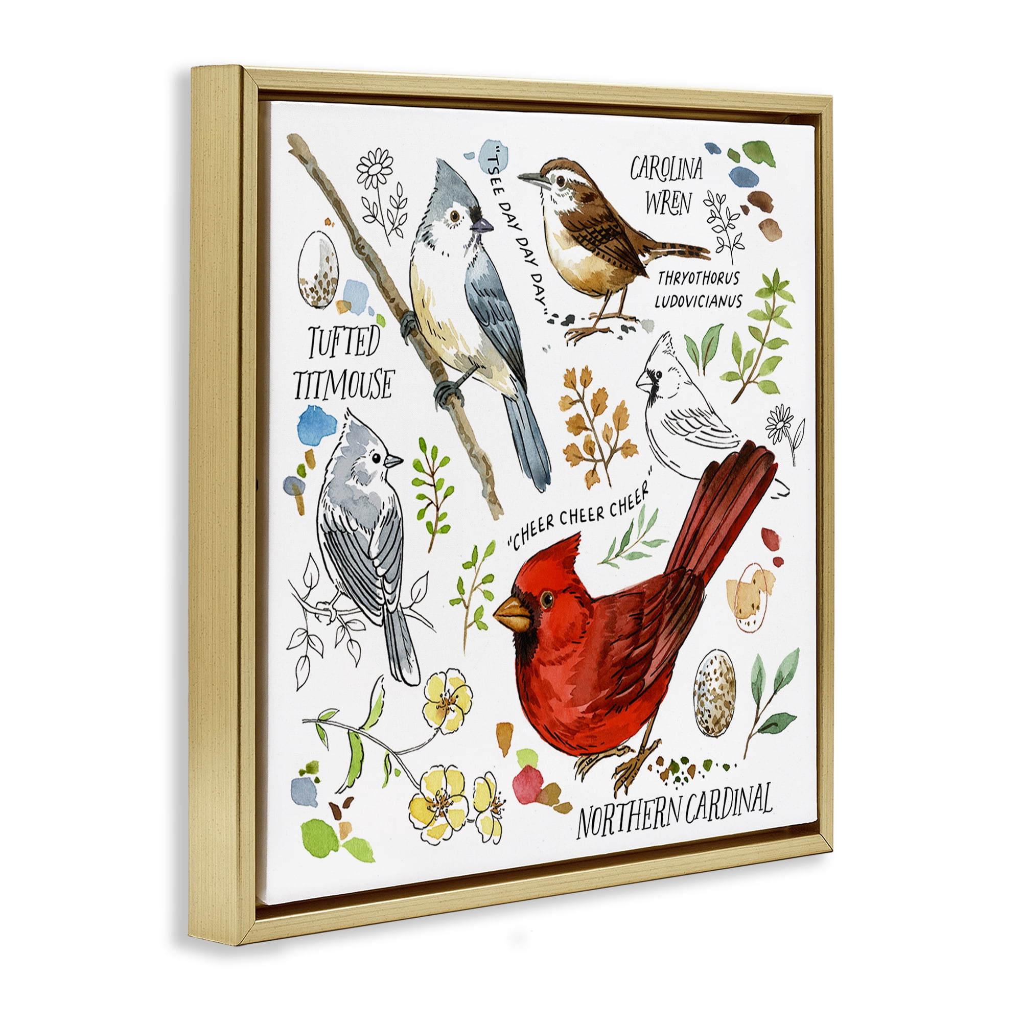 Stupell Industries Bird Watching Chart Animals Painting Gold Floater Framed Canvas Art Print Wall Art, 25 x 25