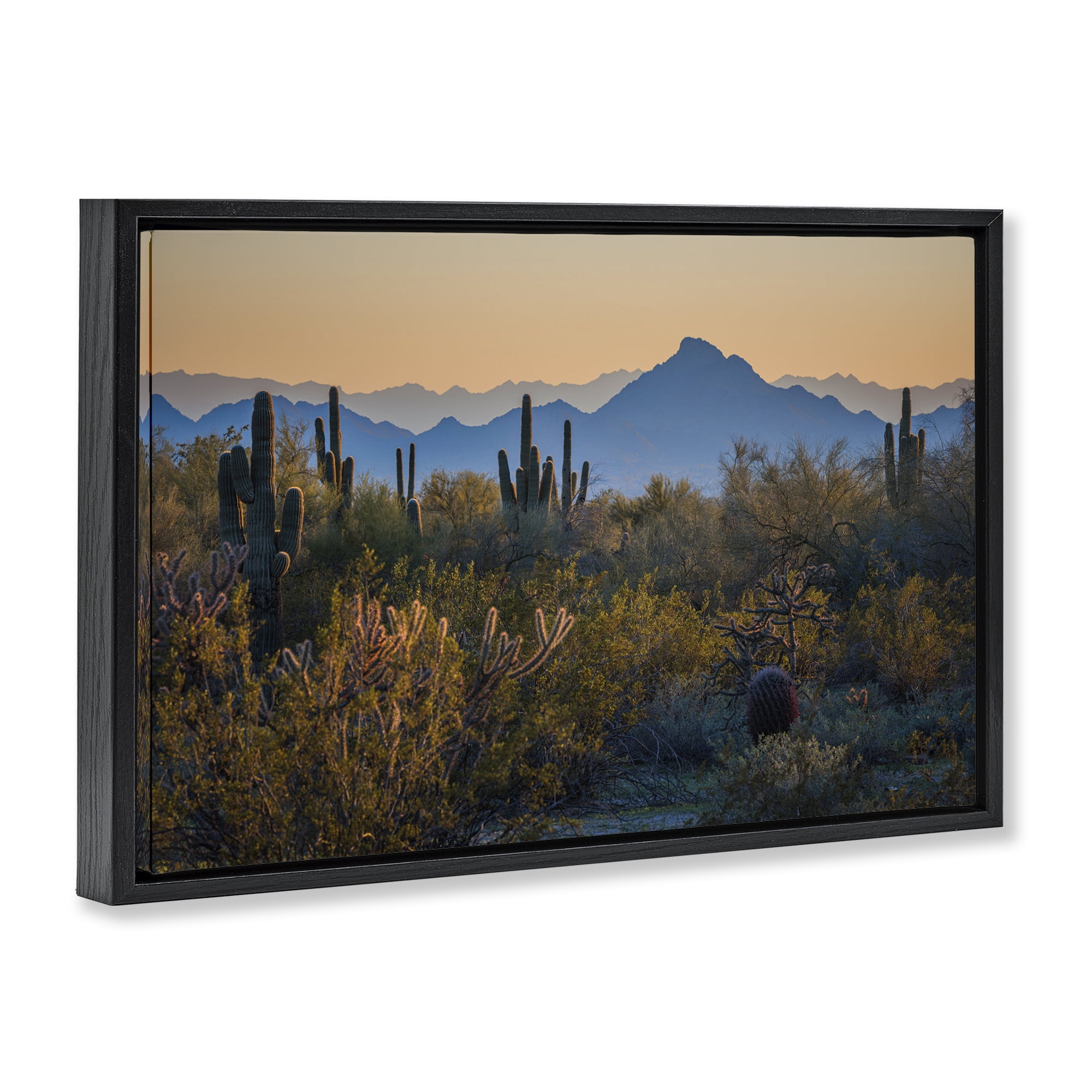 Stupell Industries Contrasting Desertscape Scene Landscape & Nature Photography Black Floater Framed Canvas Art Print Wall Art, 31 x 21