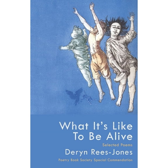 What It's Like to Be Alive: Selected Poems (Paperback)