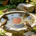 thumbnail image 1 of Bird Bath Plate Decorative Purification Plate with Support Points Natural All Weather Water Suitable for Outdoor Bird Bath Tubs and Bowls Multiple Choices, 1 of 3