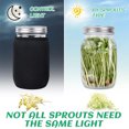 thumbnail image 3 of Becaristey Fresh And Healthy Broccoli Sprouts Suitable For Any Kitchen Style Easy To Install And Maintain B, 3 of 6