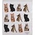 thumbnail image 2 of 2 Feuilles - Autocollants pour Chatons, 2 of 2
