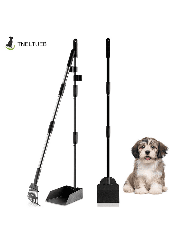 Pooper Scoopers in Dog Potty Training