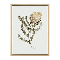 Kate and Laurel Sylvie Wild Banksia Framed Canvas Wall Art by Sara Berrenson, 18x24 Natural, Nature Art for Wall